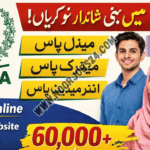 NADRA Jobs